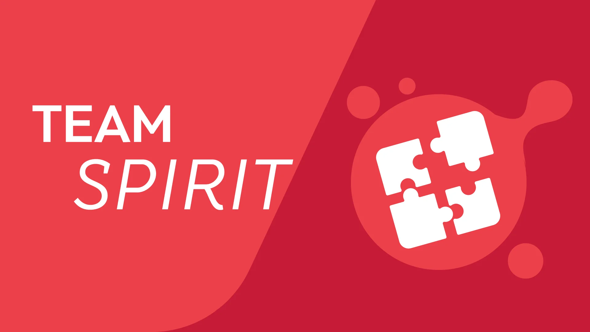 Team spirit value