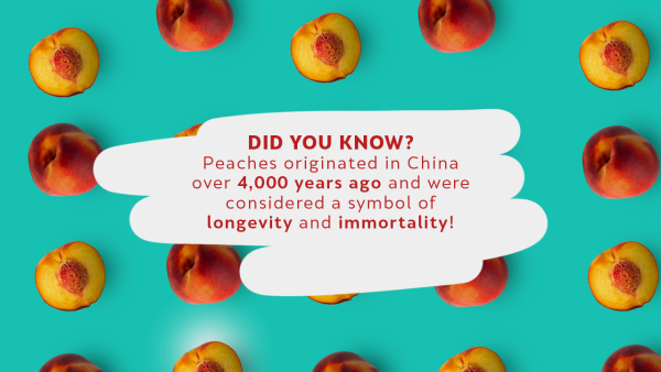 the-peach-journey-from-ancient-legends-to-modern-refreshment.png
